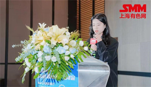 10月18日，由上海有色網（SMM）主辦的2023年中國新能源產業年會在廈門圓滿落幕！