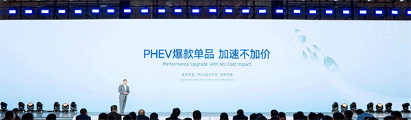 獨家｜對話楊紅新：蜂巢能源2024年如何“破卷”？