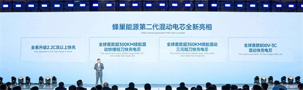 獨家｜對話楊紅新：蜂巢能源2024年如何“破卷”？